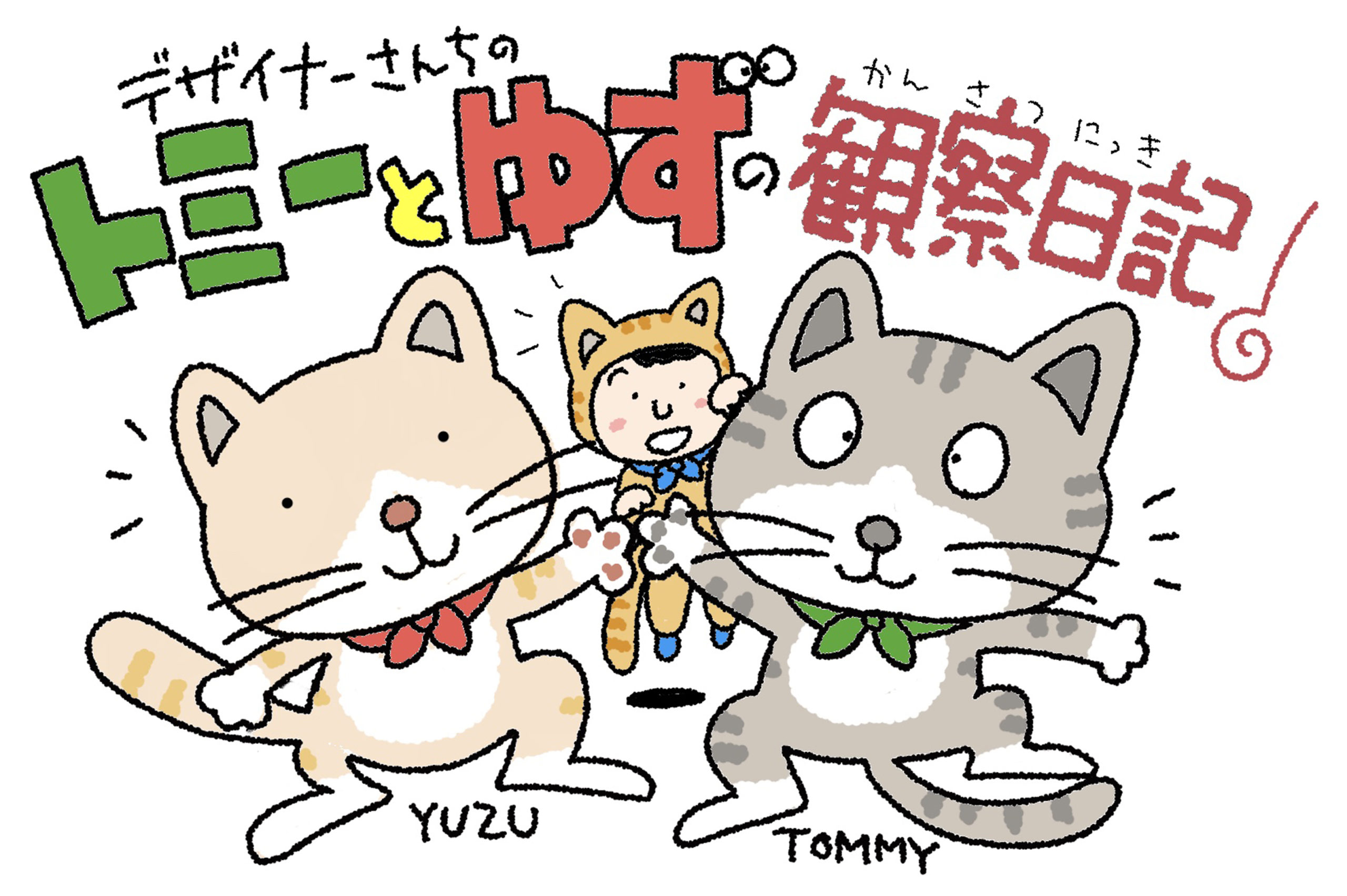 ゆずの肉球！猫の『肉球』についてちょっと調べてみました！  トミー 
