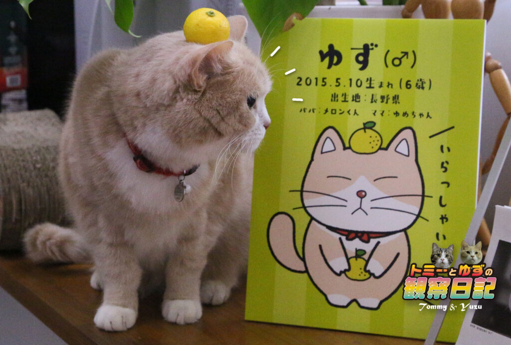 ゆずねこ様おまとめ 🥰❣🫶🏻️︎💕