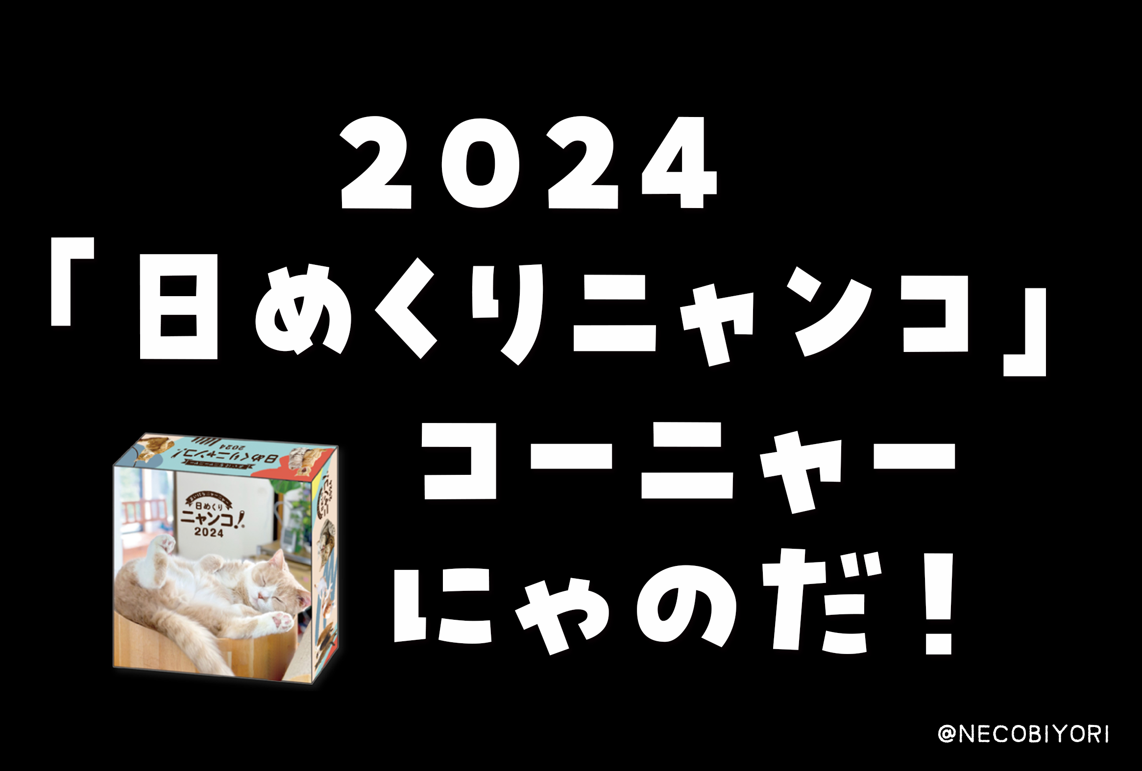 2024「日めくりニャンコ」コーニャー🐱✨