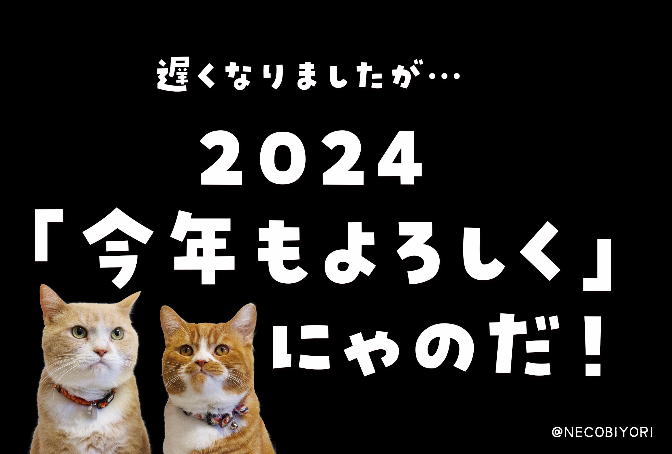 遅くなりましたが…🐱今年もよろしくお願いしニャす〜！