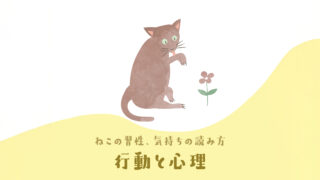 行動と心理（ねこの習性、気持ちの読み方）