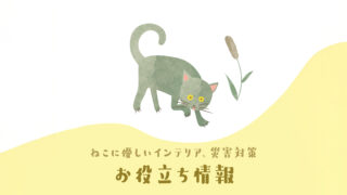 お役立ち情報(ねこに優しいインテリア、災害対策)