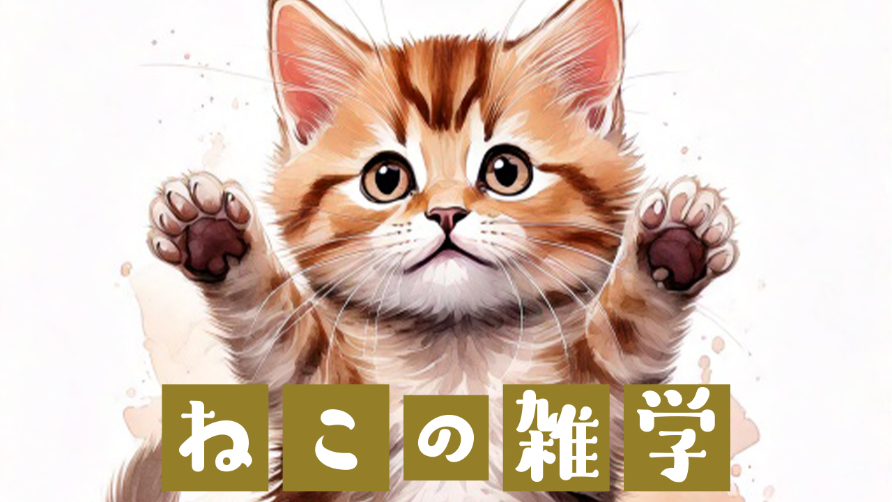 ねこの利き手