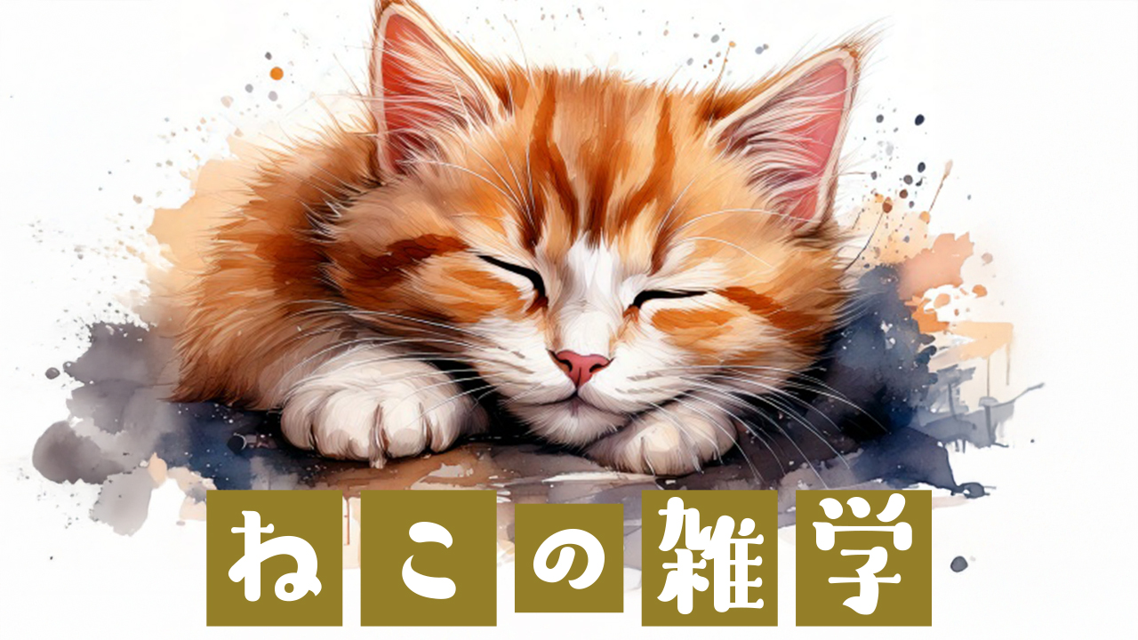 🐱💤猫の睡眠時間はなぜ長い？20時間の秘密に迫る驚きの雑学