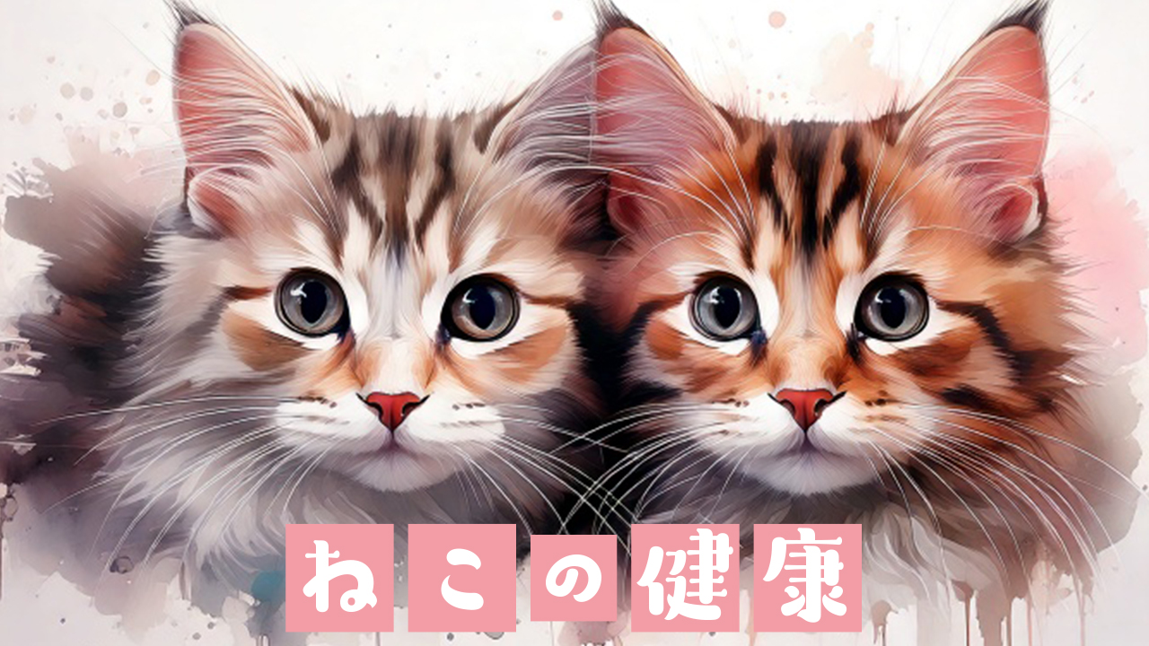 ねこの目やに