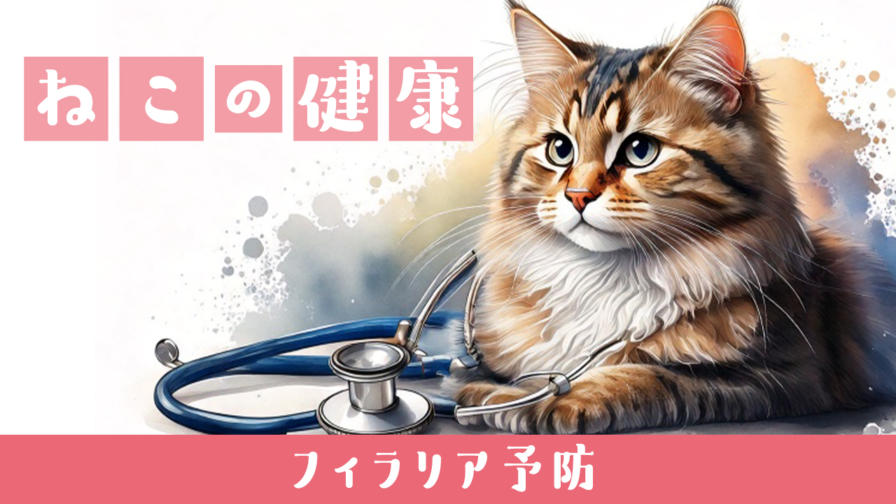 🐱猫 フィラリア 予防 必要|猫にもフィラリア予防が必要な本当の理由とおすすめ対策