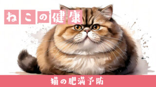 🐱猫の肥満予防方法｜健康的な生活をサポートするために