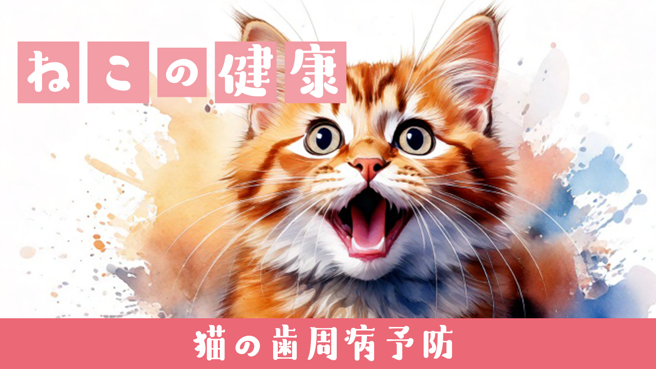 猫の歯周病予防