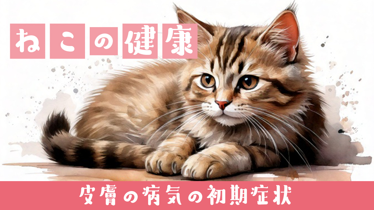 皮膚の病気の予防