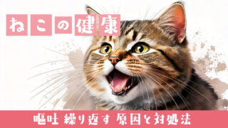 🐱【猫 嘔吐 繰り返す】その原因と対処法｜病気サインの見極め方