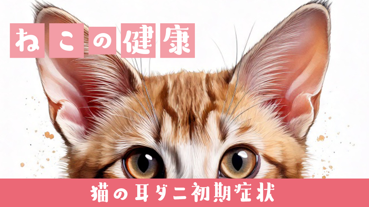 耳ダニ 初期症状