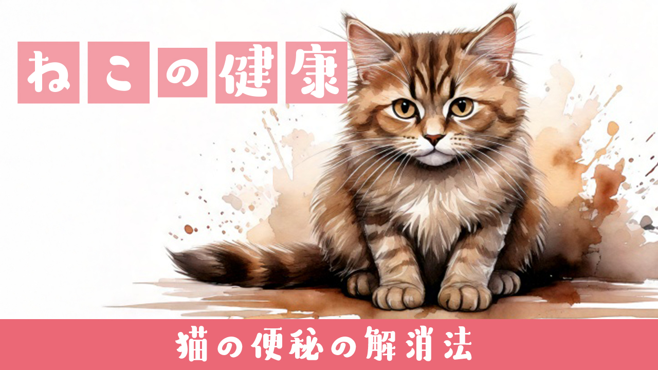 猫の便秘