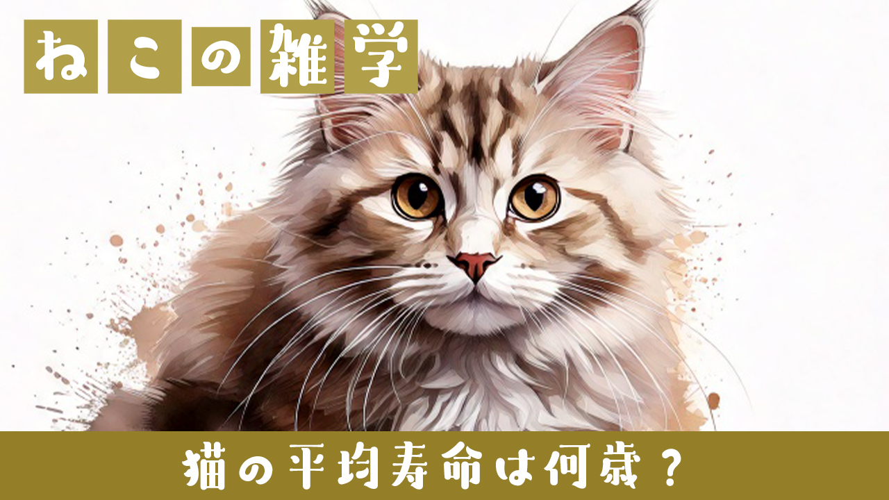 猫の平均寿命は何歳？