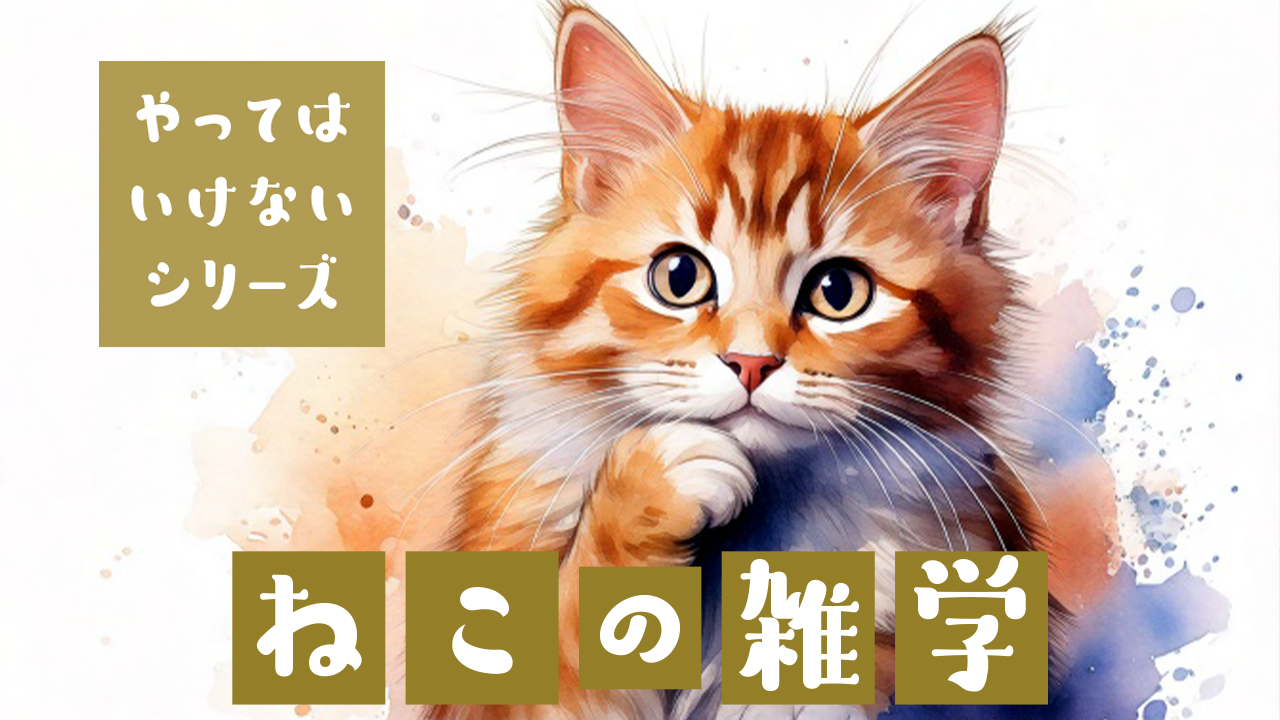 🐱【猫 嫌われる飼い主】やってはいけない10の特徴｜実は逆効果な愛情表現とは？