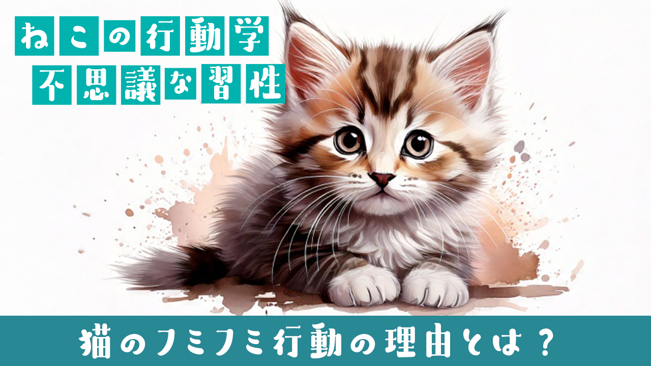 猫のフミフミ行動の理由とは？