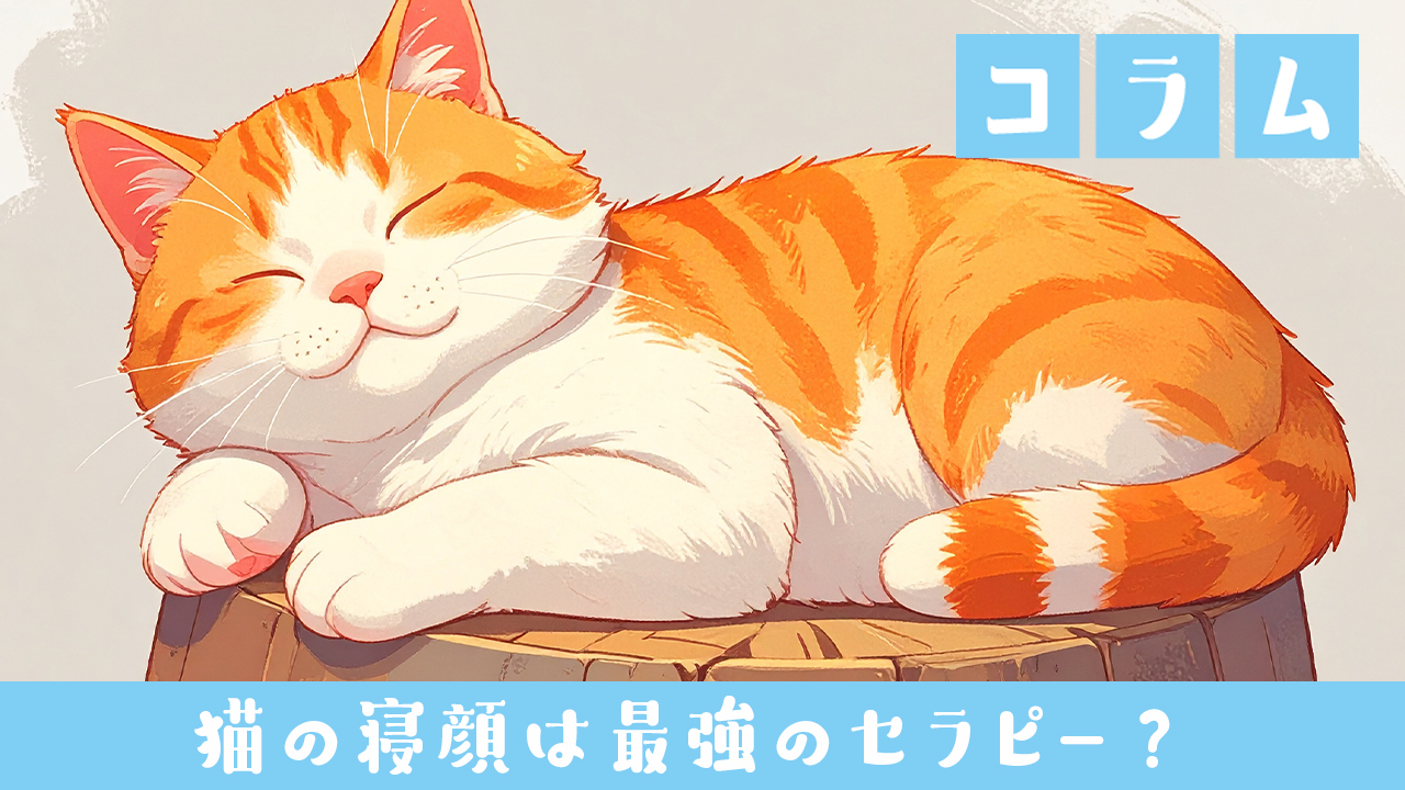 猫の寝顔は最強のセラピー？