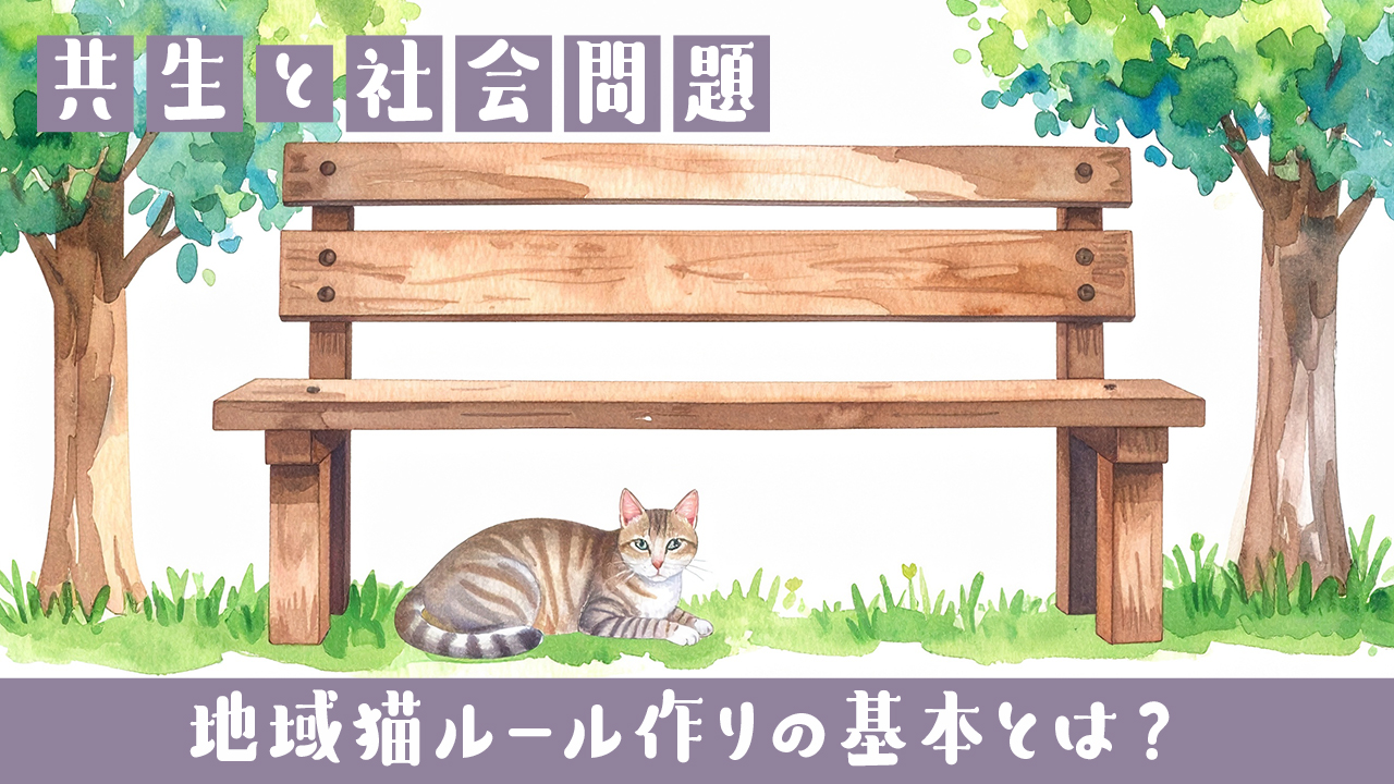🐱地域猫ルール作りの基本とは？みんなで猫と心地よく暮らすために