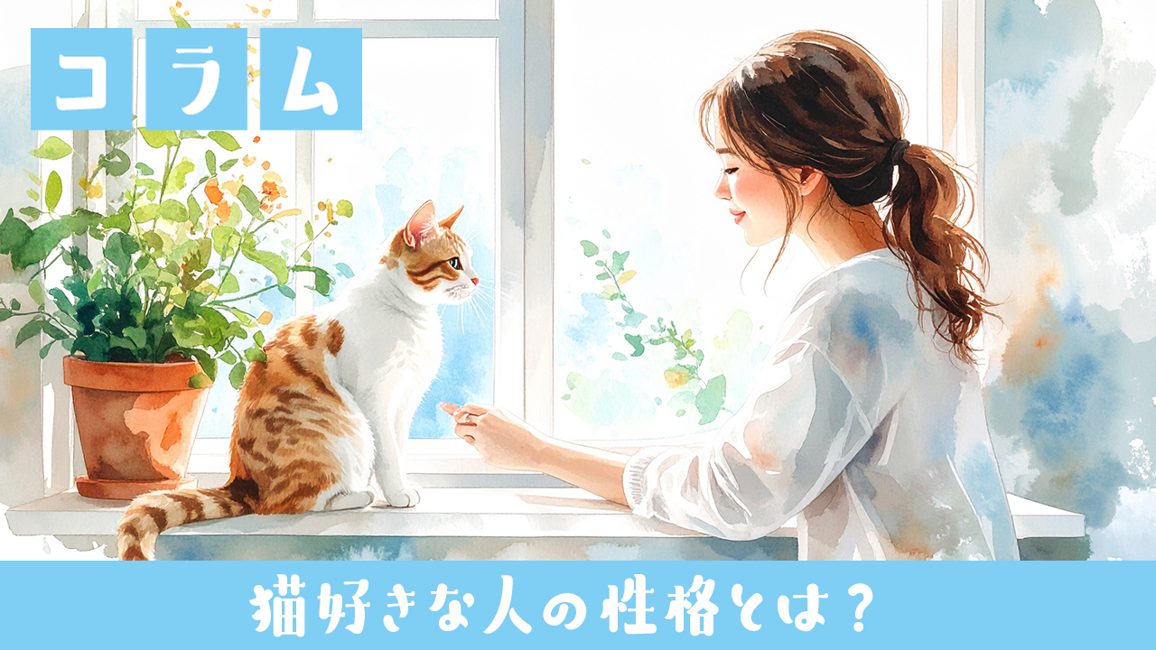 🐱猫好きな人の性格とは?共通する7つの特徴と意外な一面