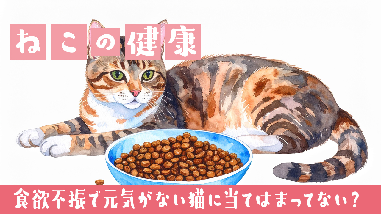 🐱食欲不振で元気がない猫に当てはまってない？7つのチェックリスト