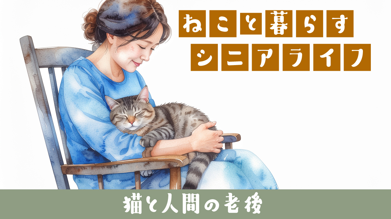 🐱猫と人間の老後｜共に寄り添う「最後の時間」のために今できること