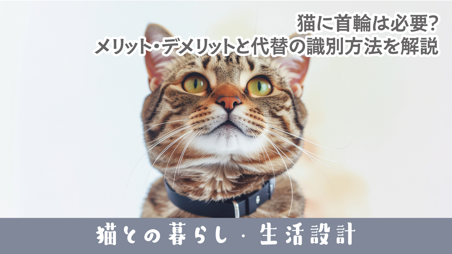 猫との暮らし・生活設計猫に首輪は必要？ メリット・デメリットと代替の識別方法を解説