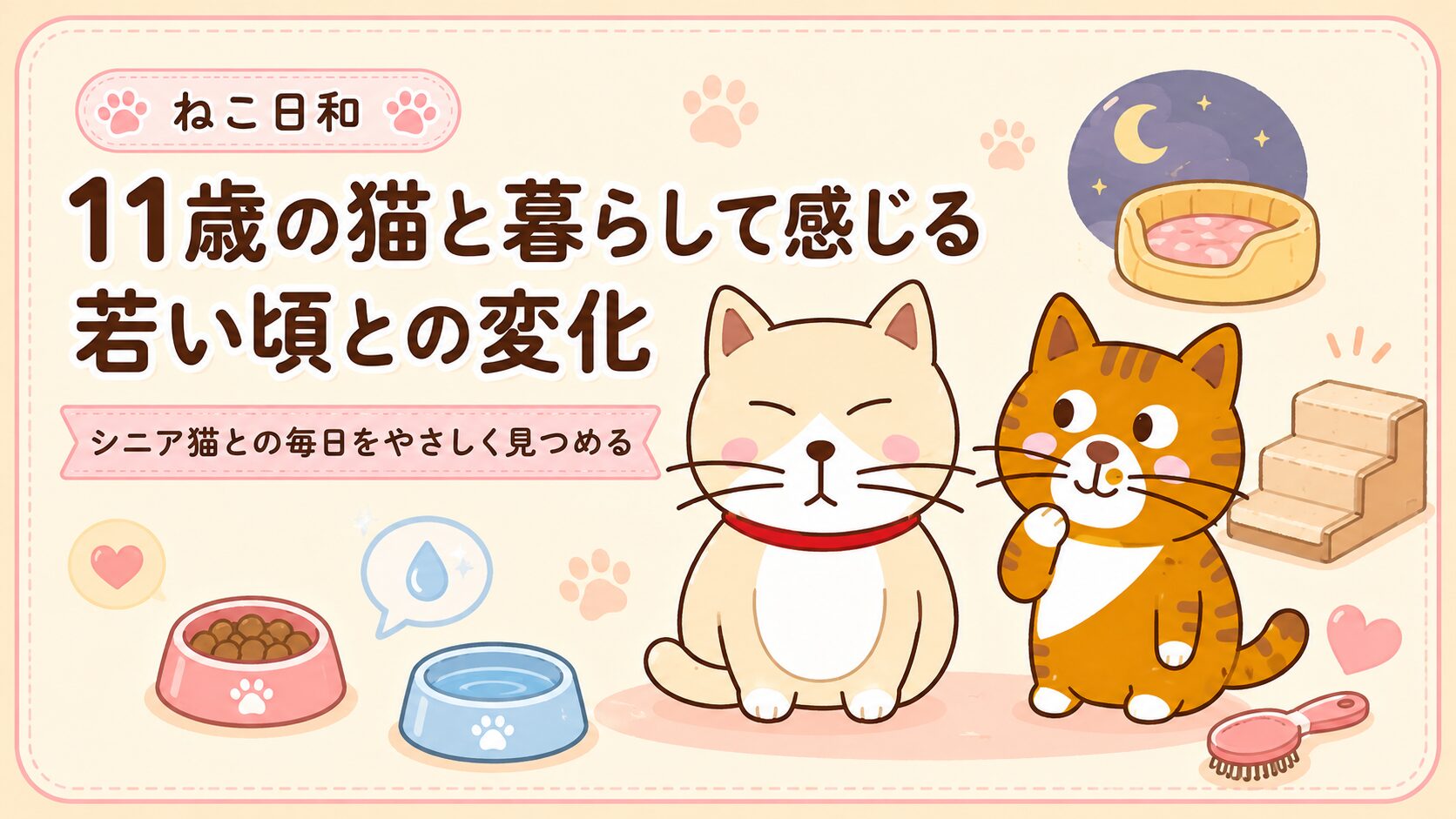 11歳の猫と暮らして感じる、若い頃との変化