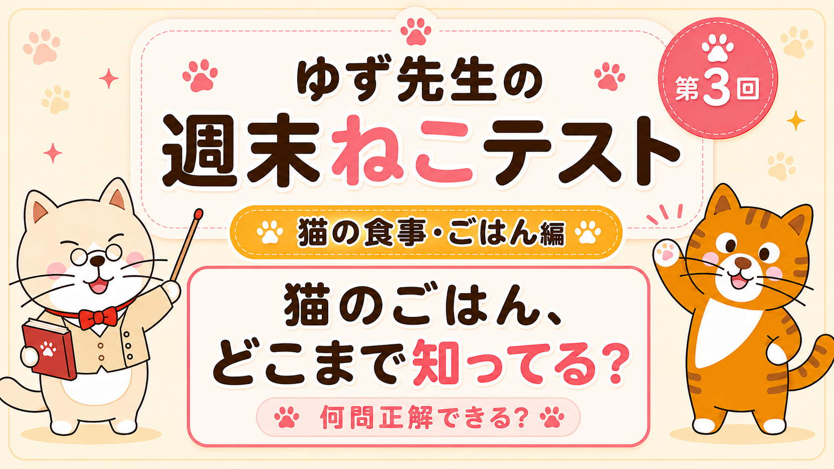 第3回｜猫のごはん、どこまで知ってる？ゆず先生の週末ねこテスト【猫の食事・ごはん編】