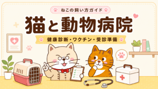 猫と動物病院|健康診断・ワクチン・受診の準備を初心者向けに解説
