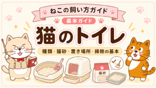 猫のトイレの基本|種類・猫砂・置き場所・掃除・粗相対策をやさしく解説