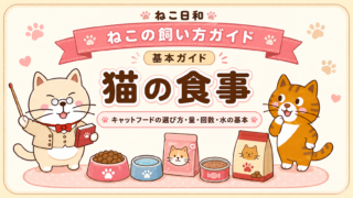 猫の食事の基本|キャットフードの選び方・量・回数・水の与え方をやさしく解説