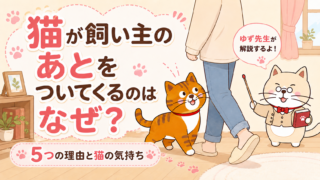 猫が飼い主のあとをついてくるのはなぜ？5つの理由と猫の気持ち