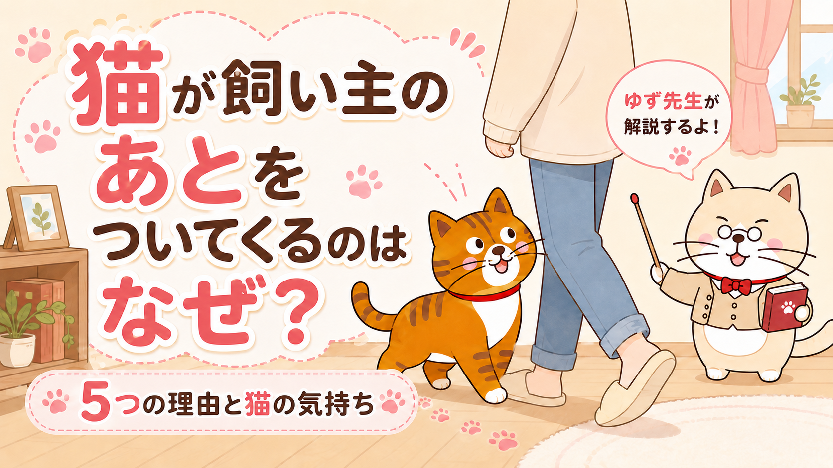 猫が飼い主のあとをついてくるのはなぜ？5つの理由と猫の気持ち