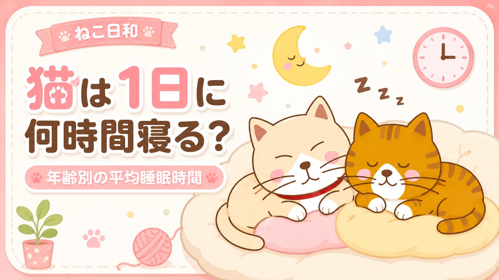 🐱猫は1日に何時間寝る？年齢別の平均睡眠時間