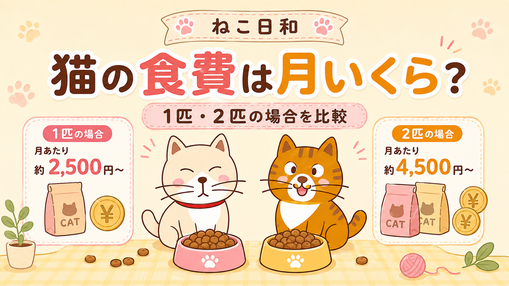 猫の食費は月いくら？1匹・2匹の場合を比較