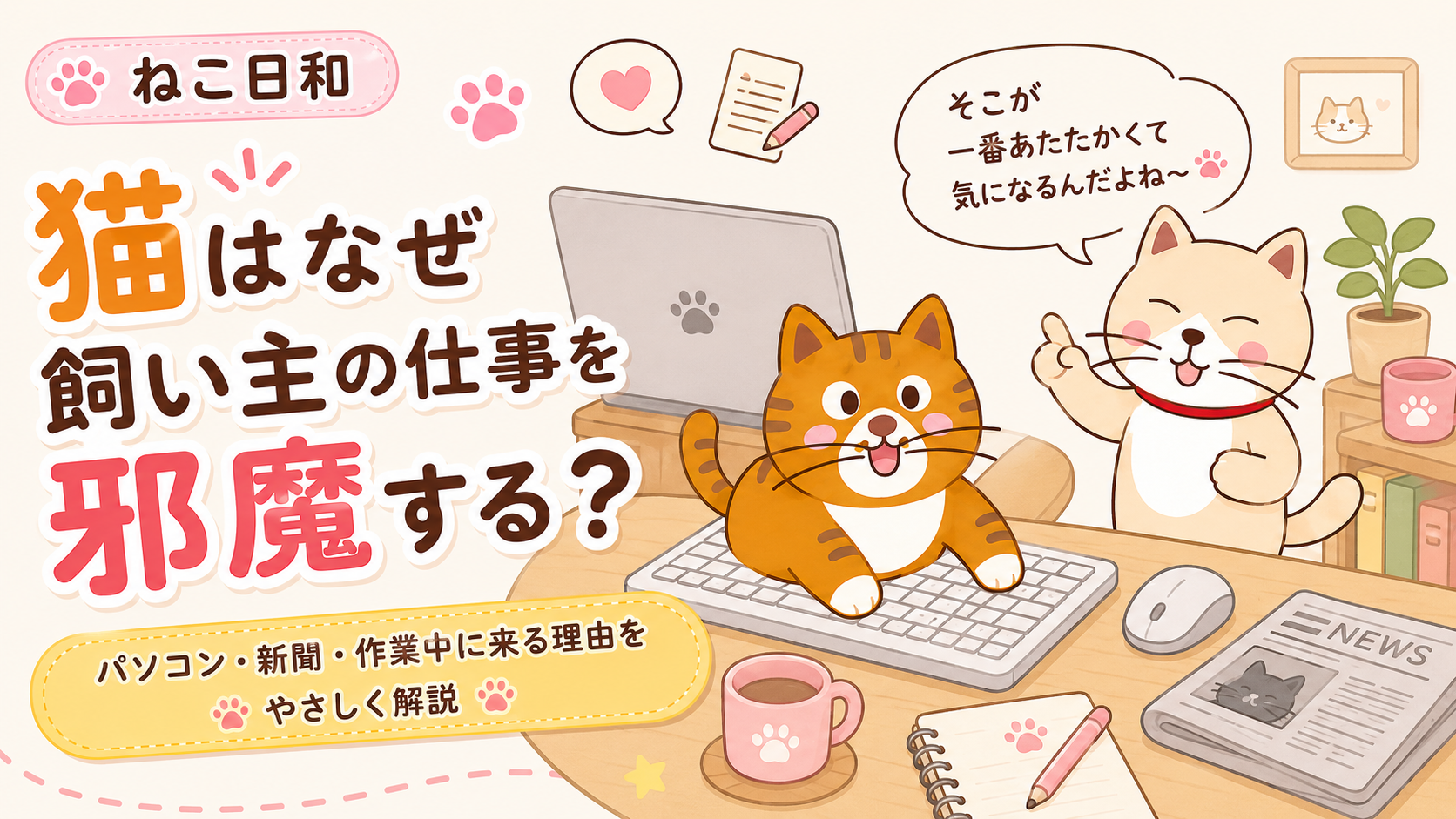 猫はなぜ飼い主の仕事を邪魔する？パソコン・新聞・作業中に来る理由