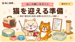 猫を迎える準備|初めて飼う前に必要なものと部屋づくりをやさしく解説