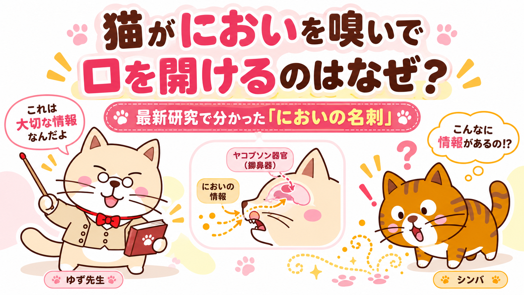 猫がにおいを嗅いで口を開けるのはなぜ？最新研究で分かった「においの名刺」